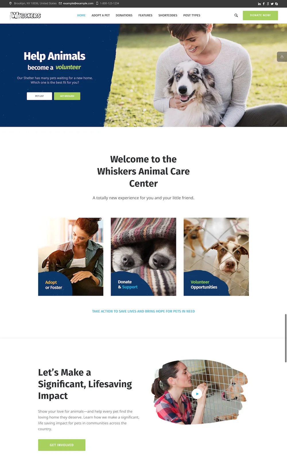 association adoption animaux